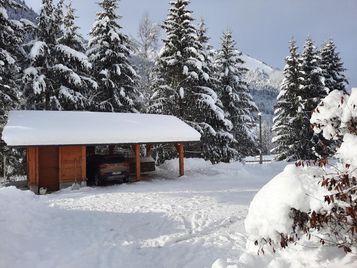 Chalet La Sapiniere Abondance 외부 사진